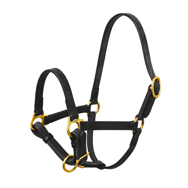 CAPEZZA CUOIO PER SHETTY/FOAL Capezze Cuoio 